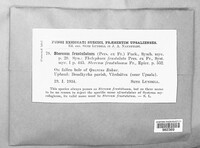 Image Associated With the Occurence